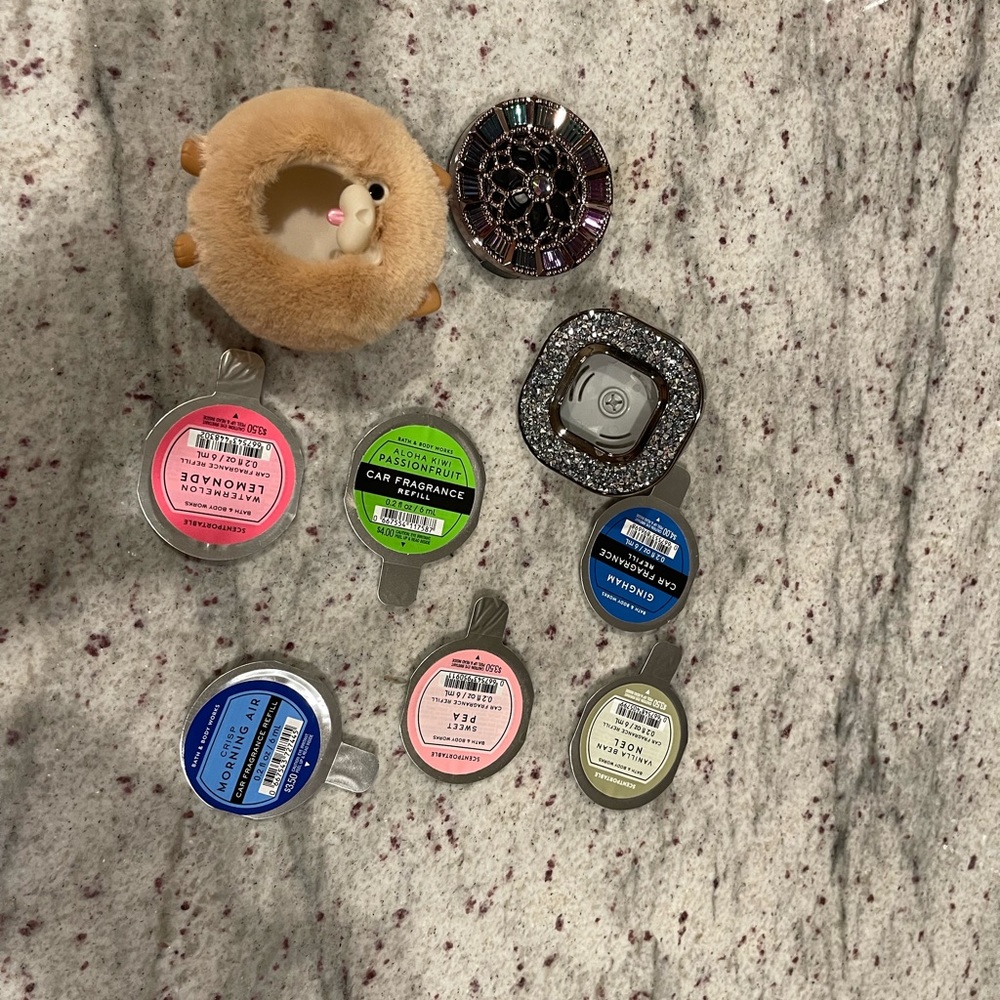 Bath and body works car freshies